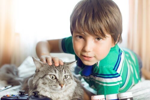 enfant aime les animaux