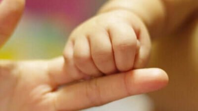 L'attachement infantile : comprendre son rôle essentiel dans le développement émotionnel des enfants