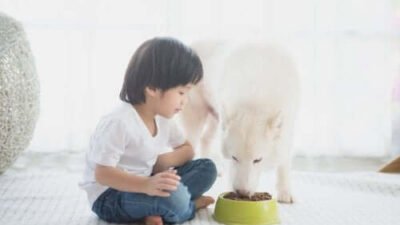 Comment encourager l'autonomie des enfants : guide pratique par âge